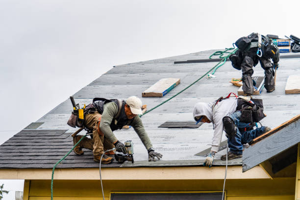 Professional Roof Replacement technician working in Marshall, MI